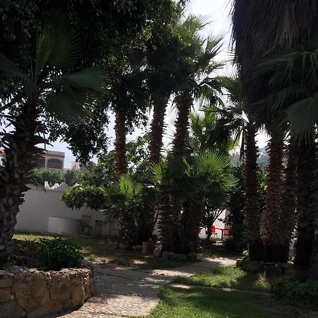 Rayani Maison D'Hotes Chozas Kültér fotó